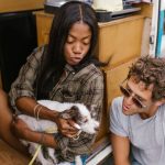 Автосалон Алтай Автодом - ваш надежный партнер в мире автомобилей image_117.jpg